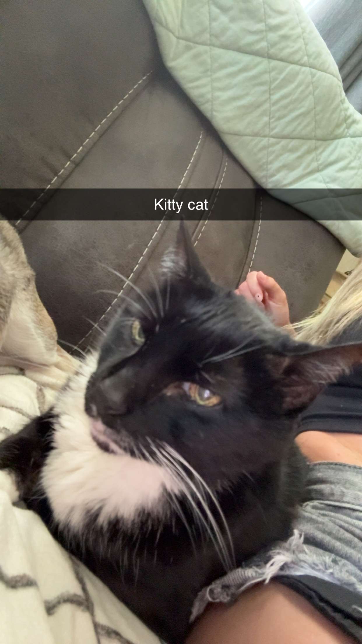 kayleedolisi snapchat image archive image