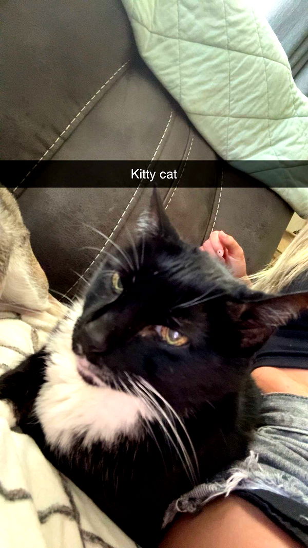 kayleedolisi image ~ Altpins