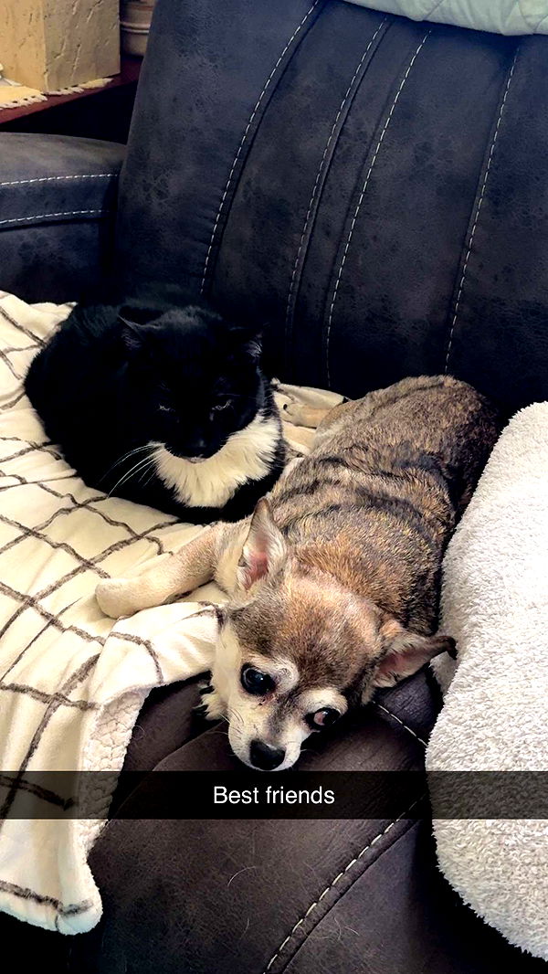 kayleedolisi image ~ Altpins