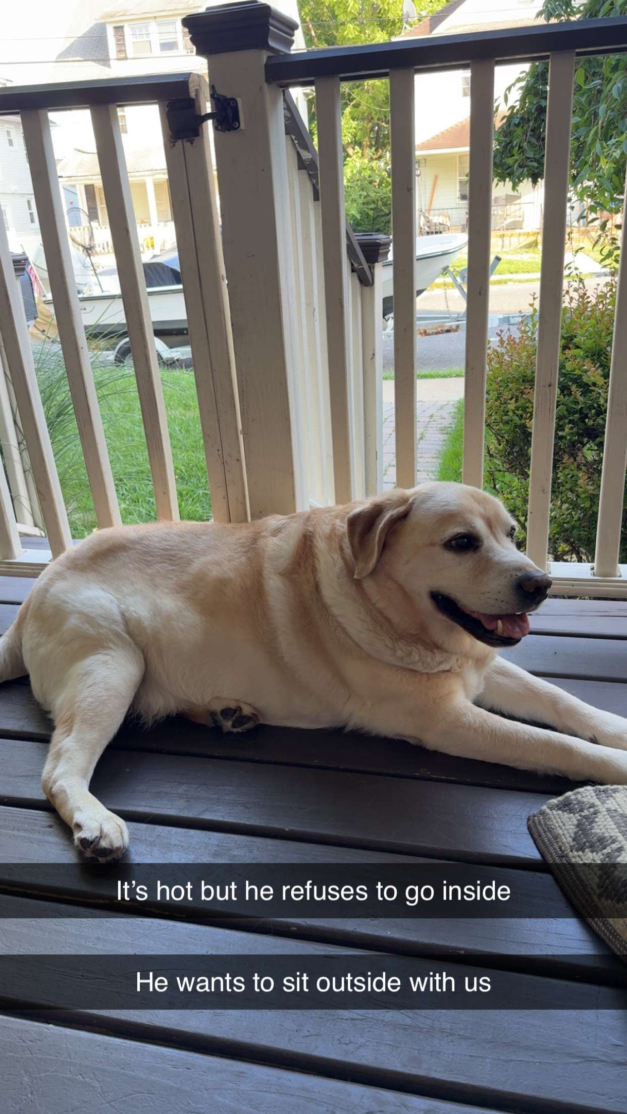 kayleedolisi snapchat image archive image