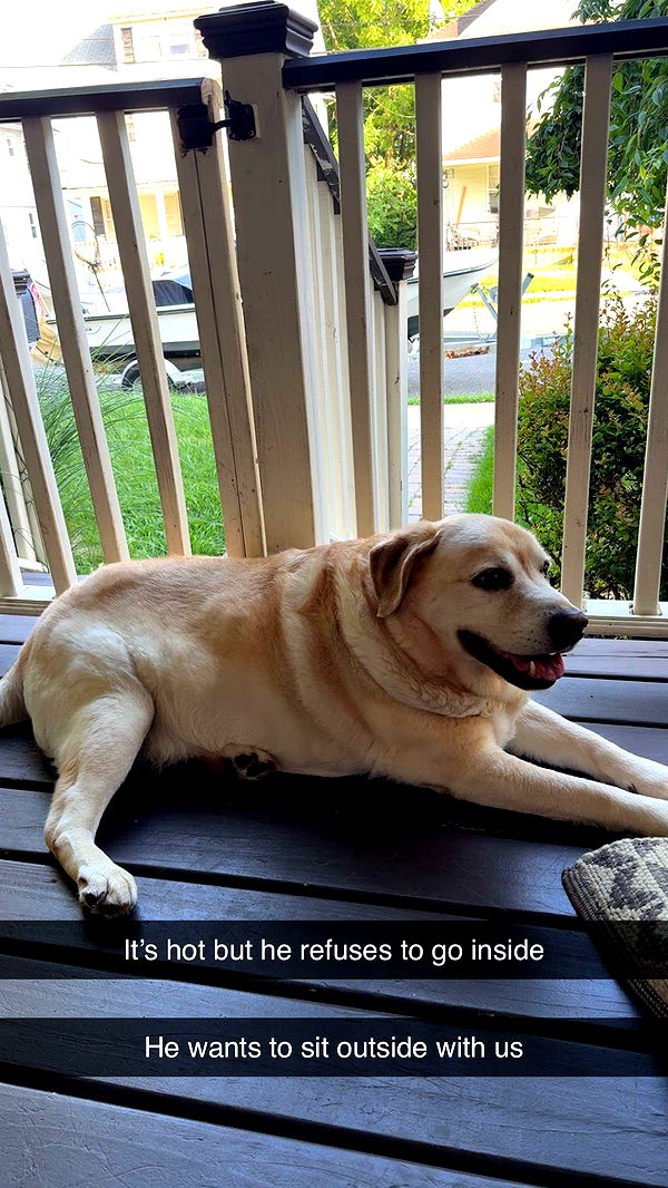 kayleedolisi image ~ Altpins