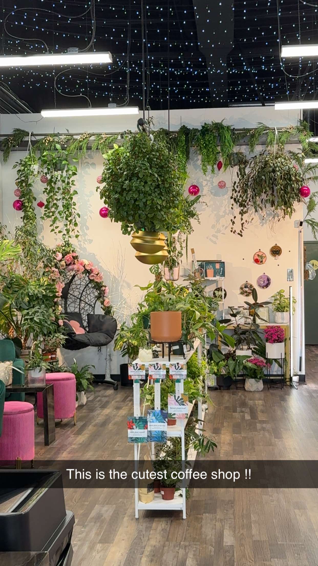 kayleedolisi snapchat image archive image