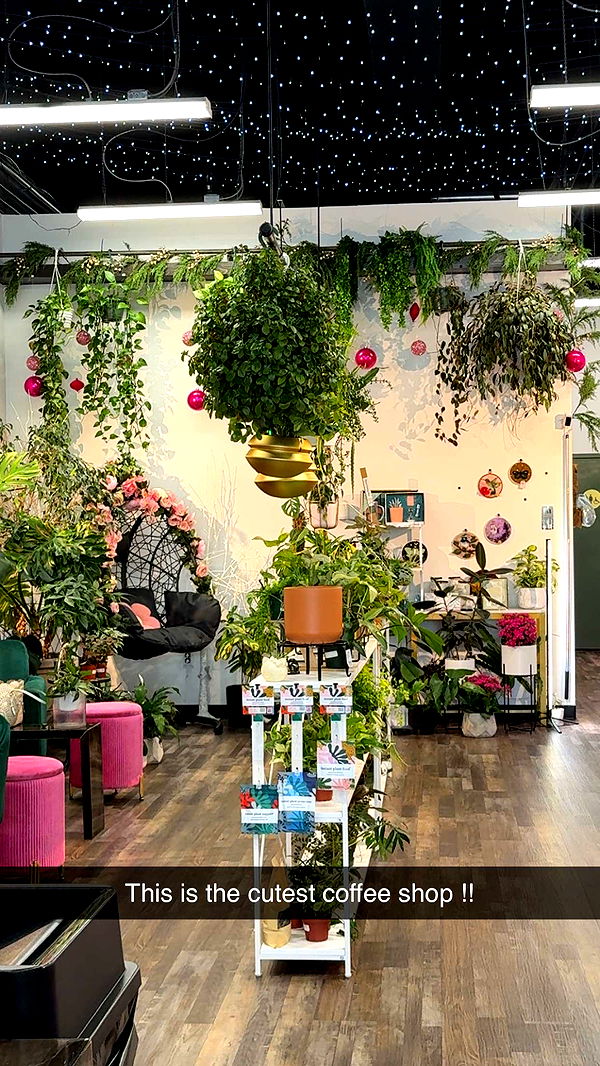 kayleedolisi image ~ Altpins