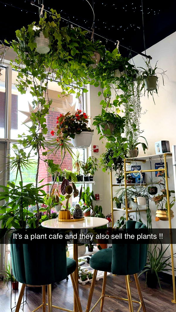 kayleedolisi image ~ Altpins