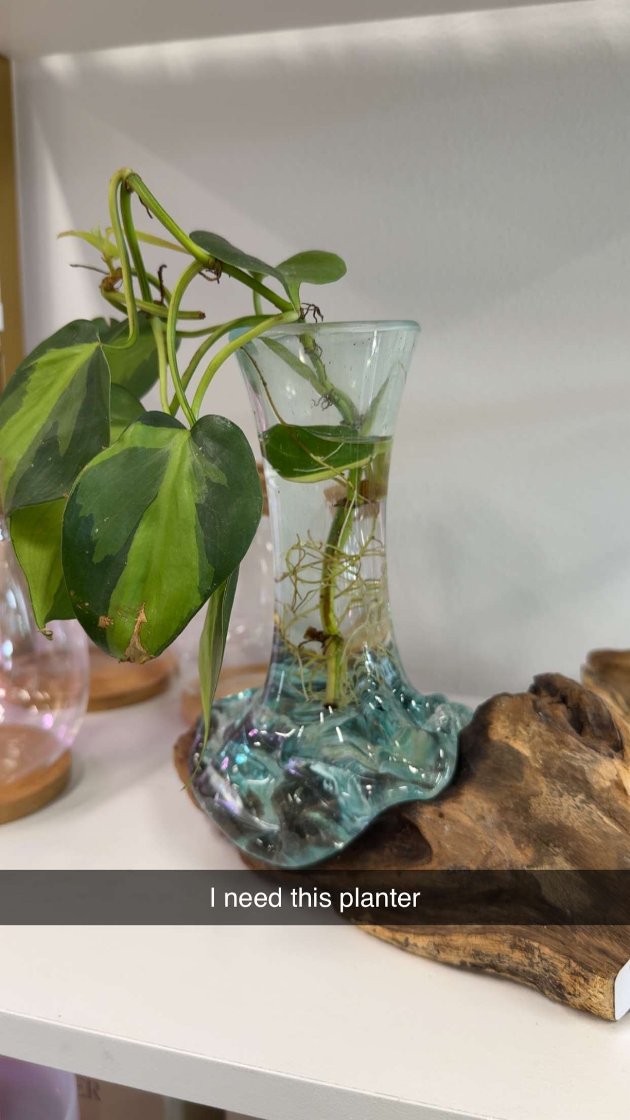 kayleedolisi snapchat image archive image