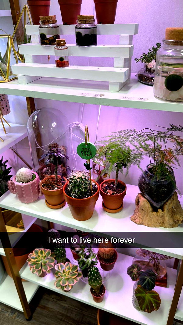 kayleedolisi image ~ Altpins