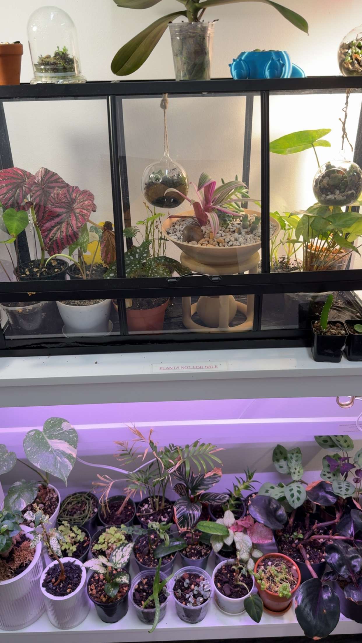 kayleedolisi snapchat image archive image