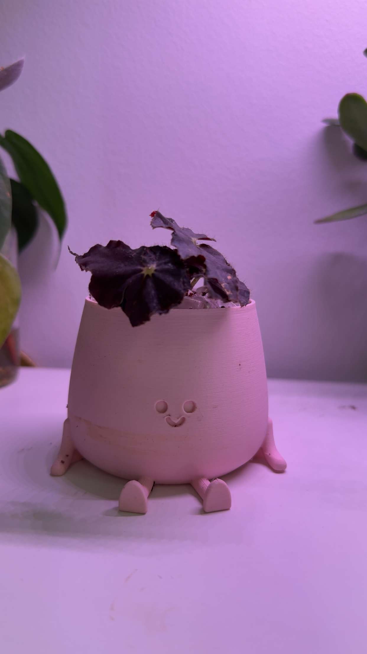 kayleedolisi snapchat image archive image