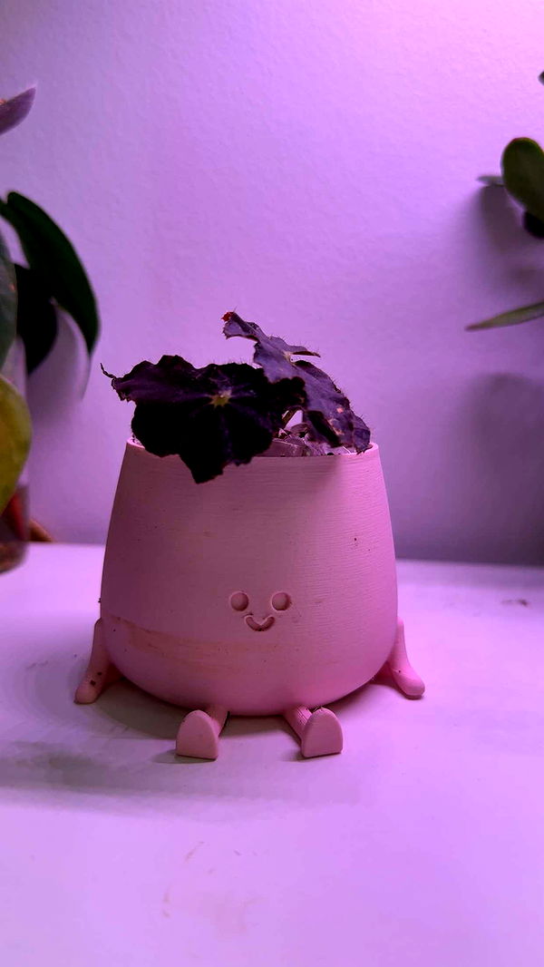 kayleedolisi image ~ Altpins