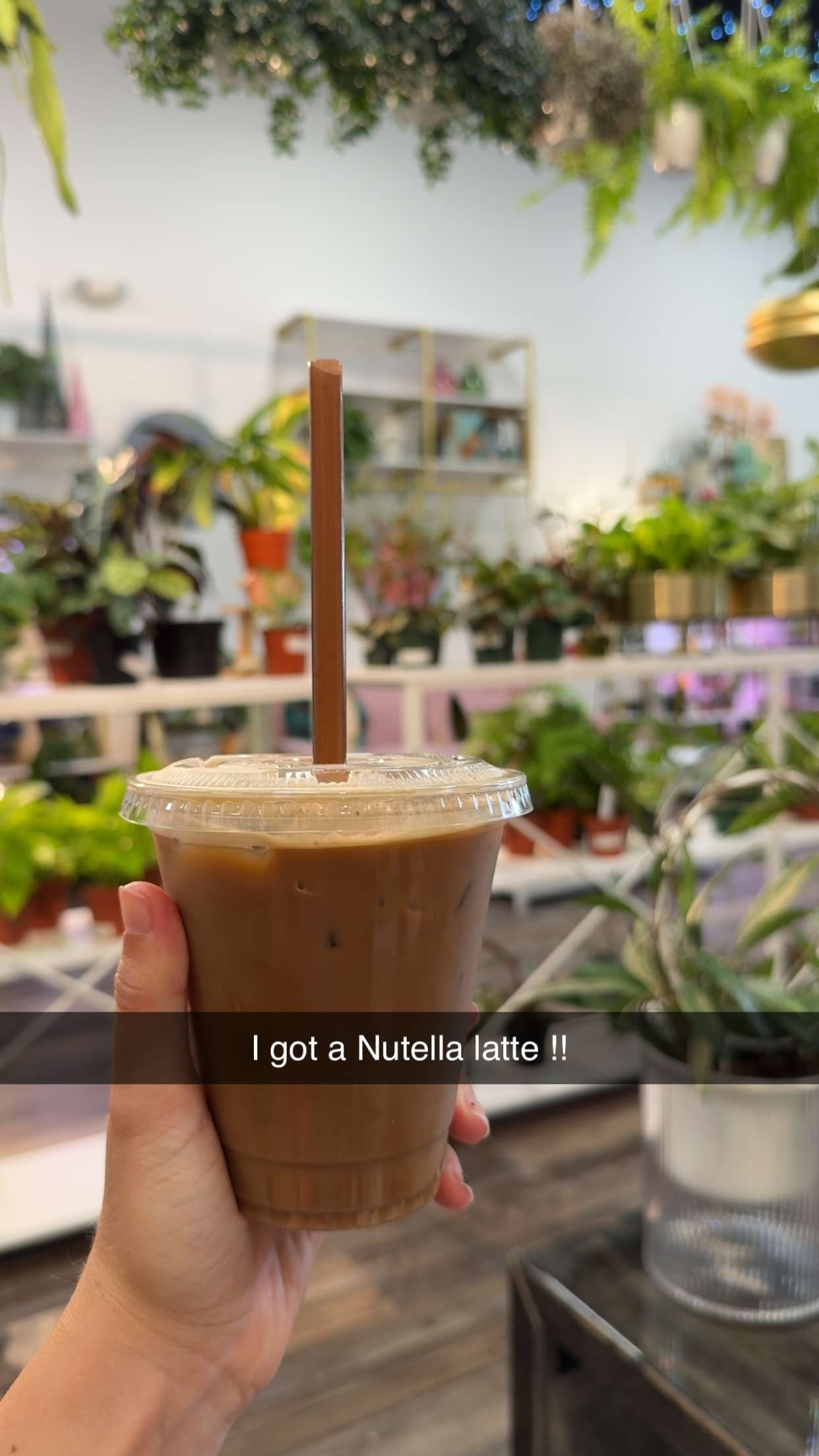 kayleedolisi snapchat image archive image