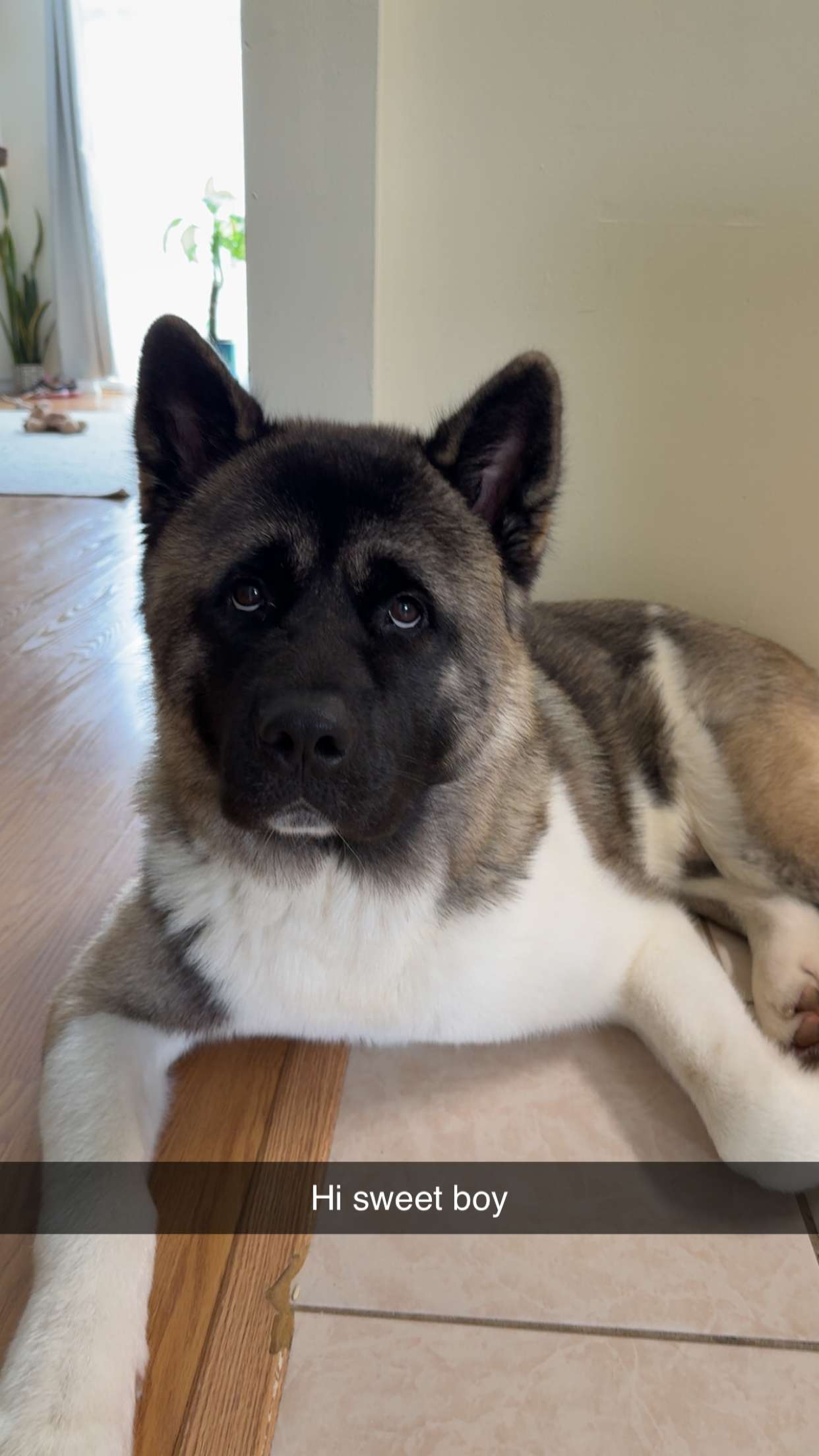 kayleedolisi snapchat image archive image