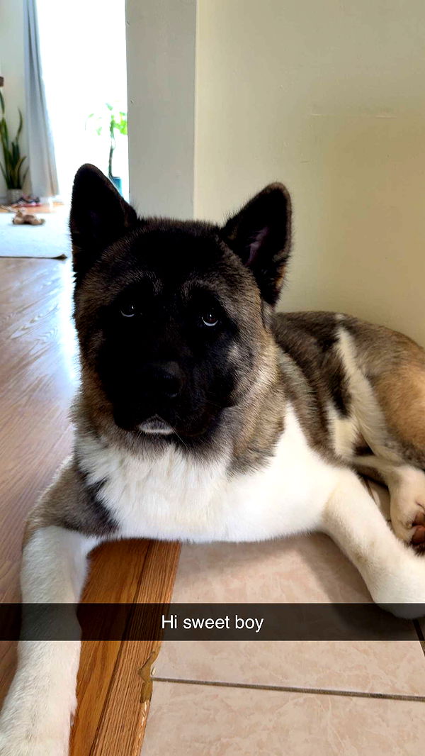 kayleedolisi image ~ Altpins