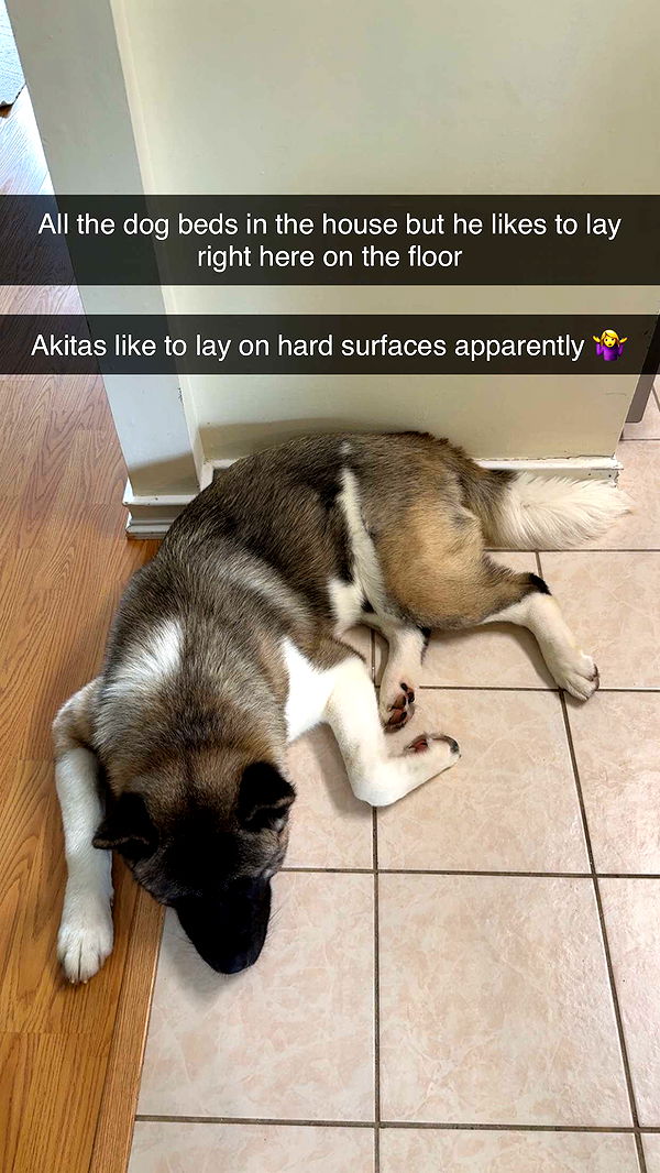 kayleedolisi image ~ Altpins