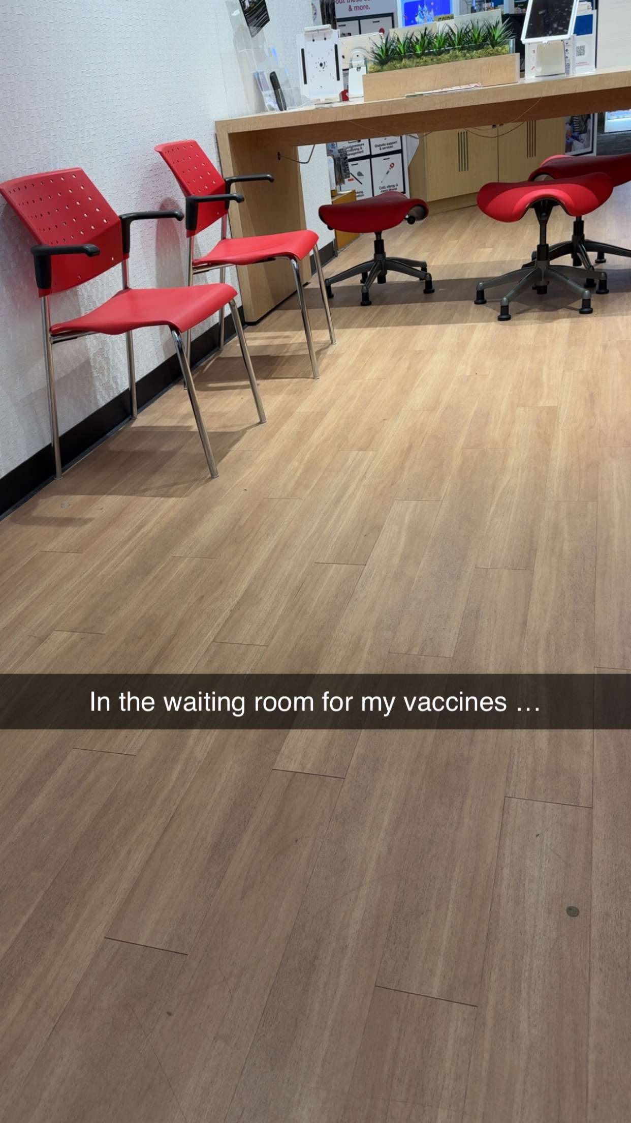 kayleedolisi snapchat image archive image