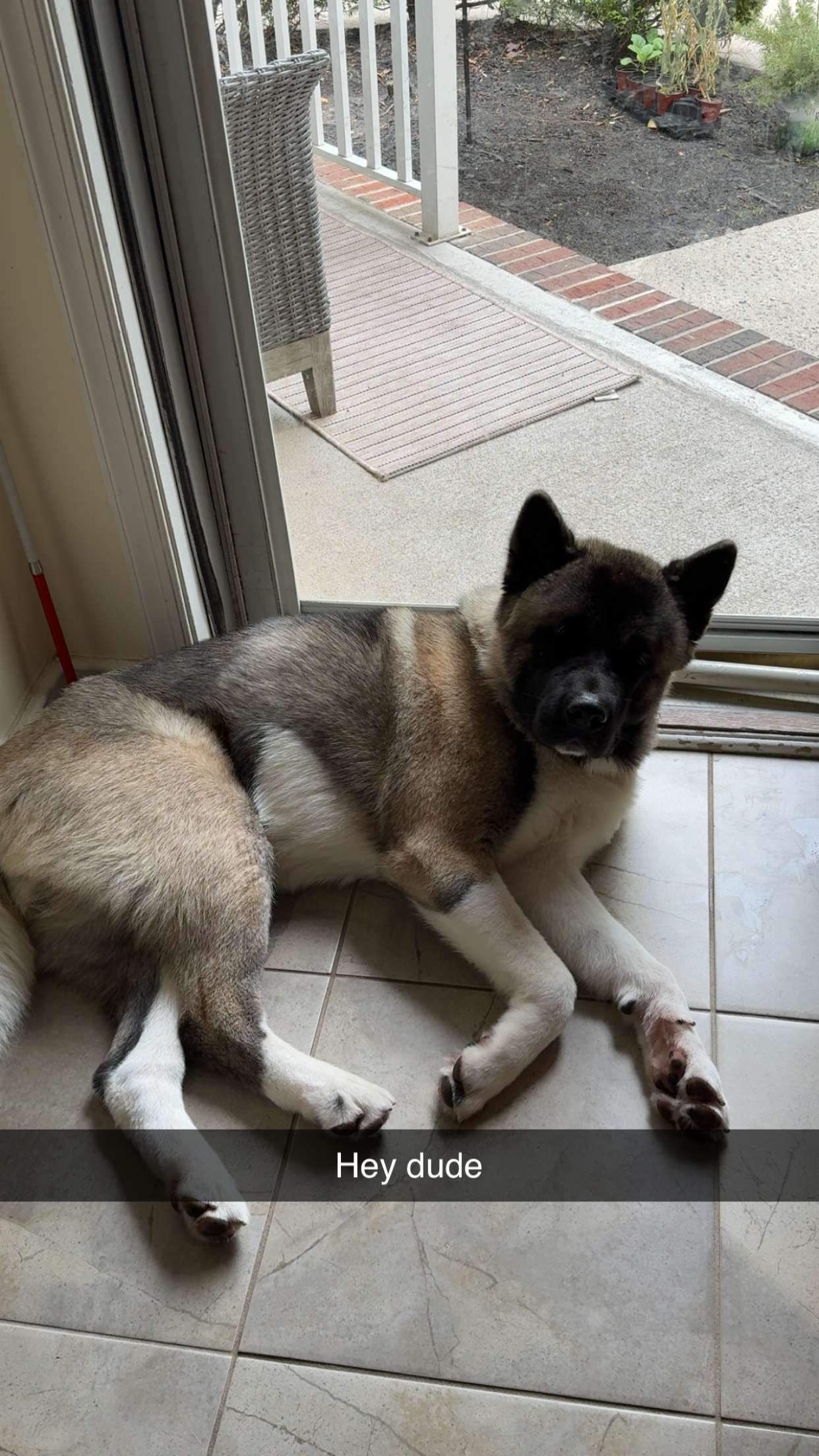 kayleedolisi snapchat image archive image