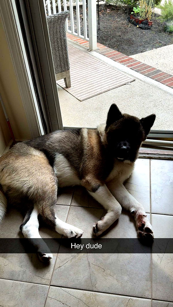 kayleedolisi image ~ Altpins