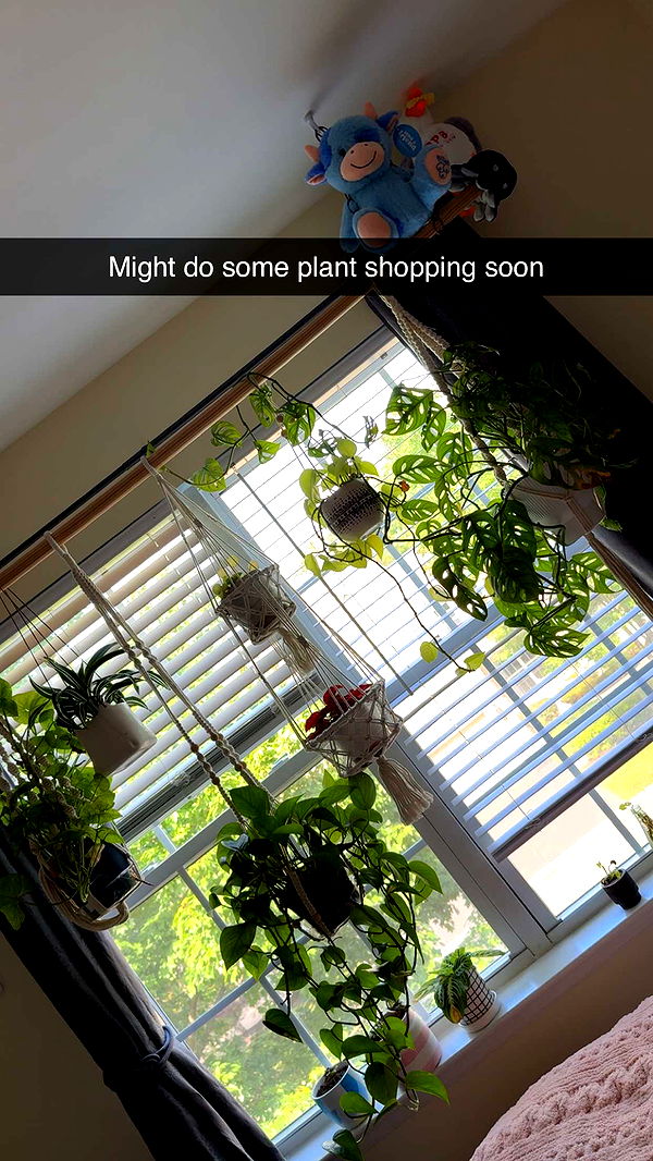 kayleedolisi image ~ Altpins