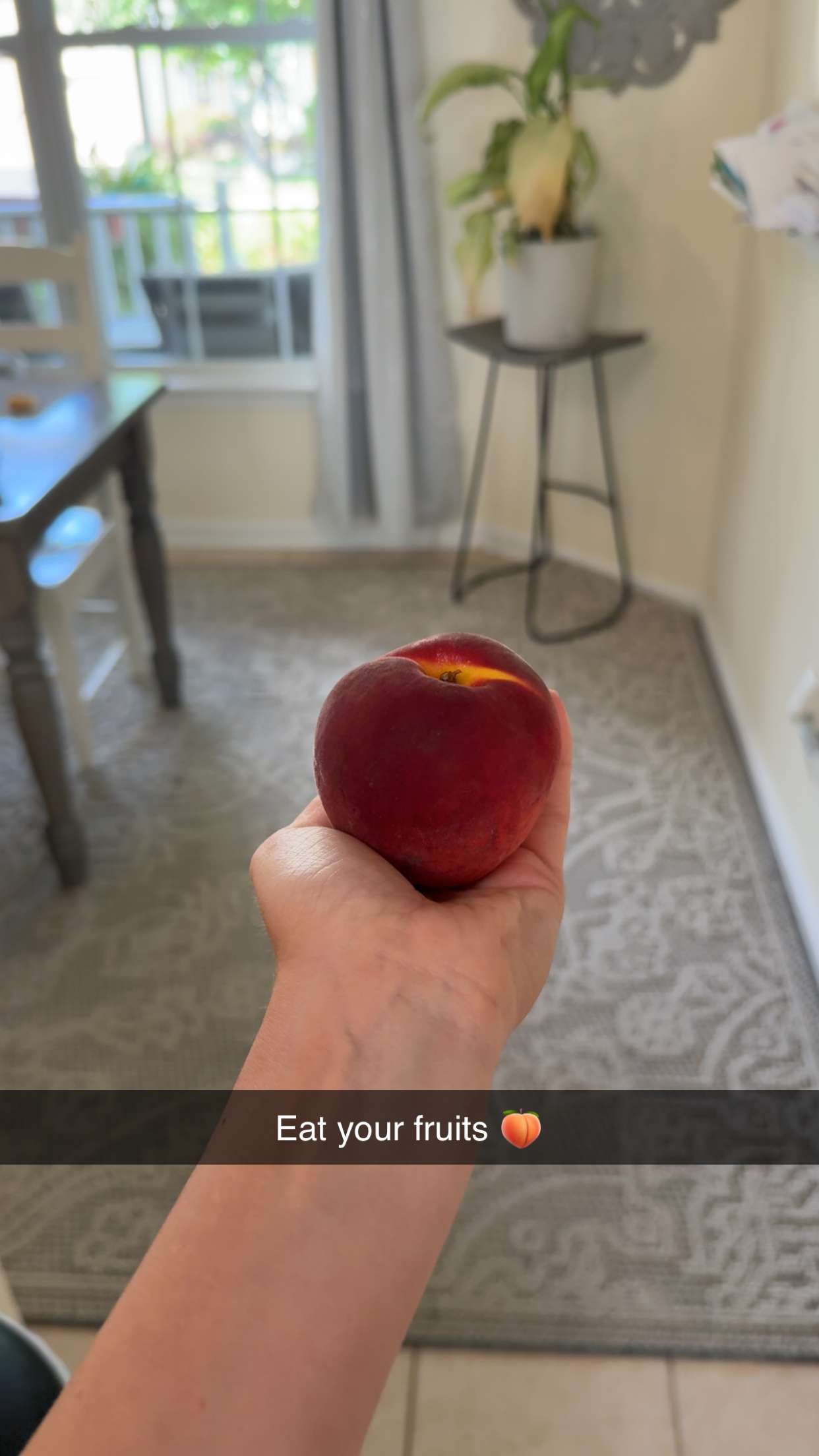 kayleedolisi snapchat image archive image