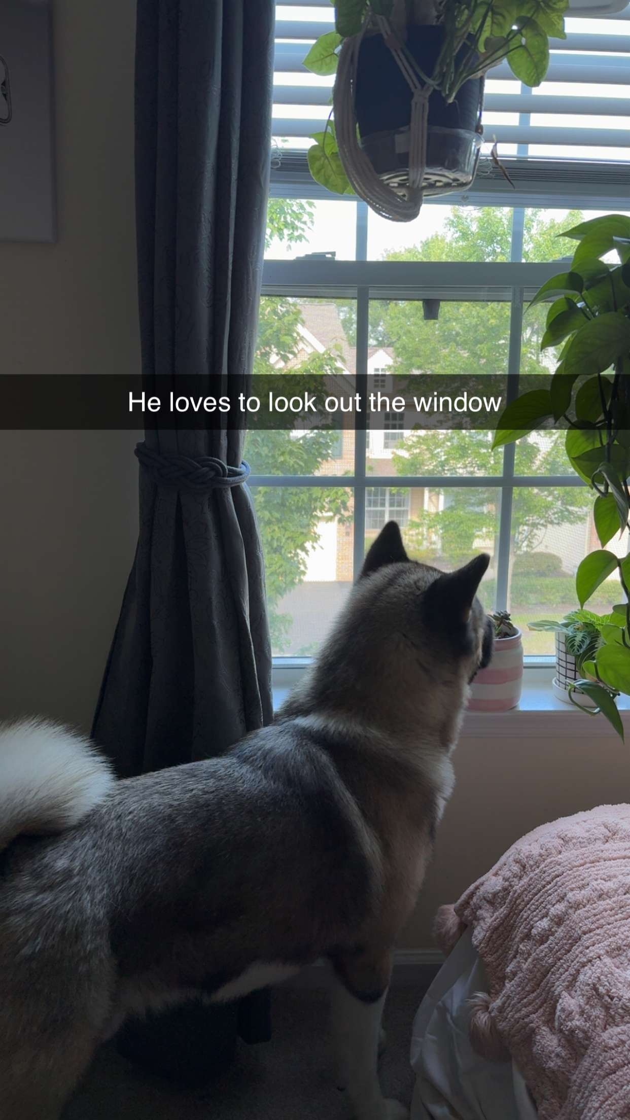 kayleedolisi snapchat image archive image