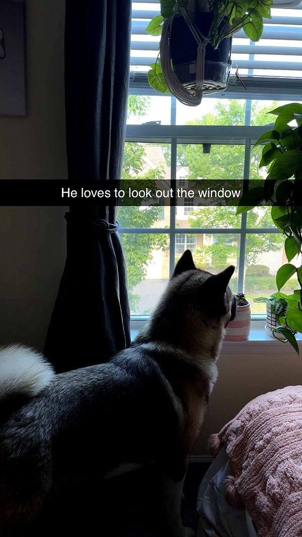 kayleedolisi image ~ Altpins