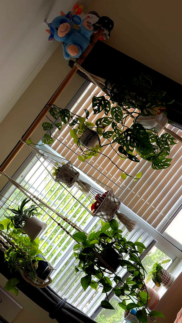 kayleedolisi image ~ Altpins