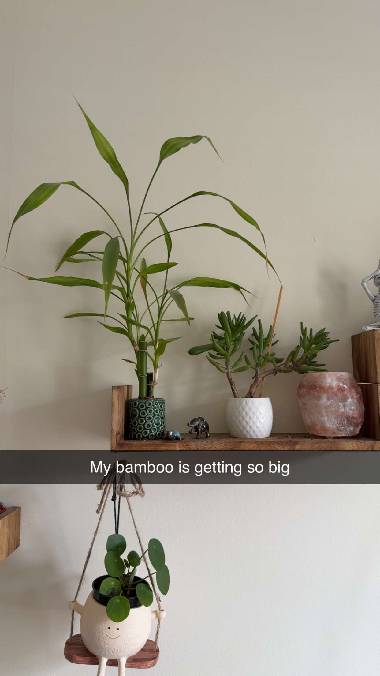 kayleedolisi snapchat image archive image