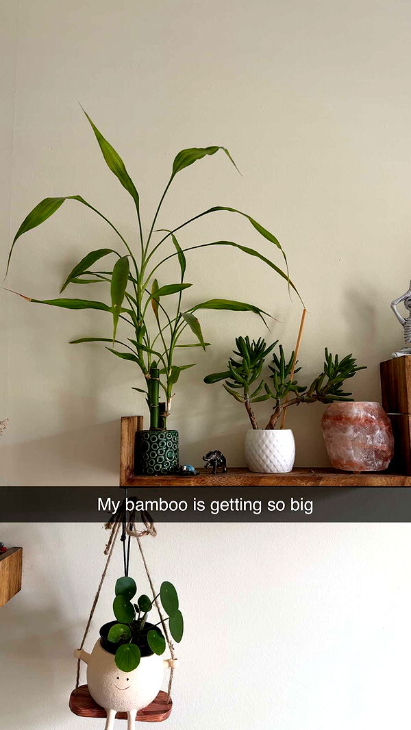 kayleedolisi image ~ Altpins