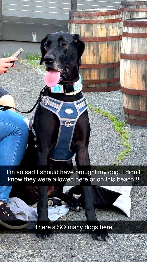 kayleedolisi image ~ Altpins