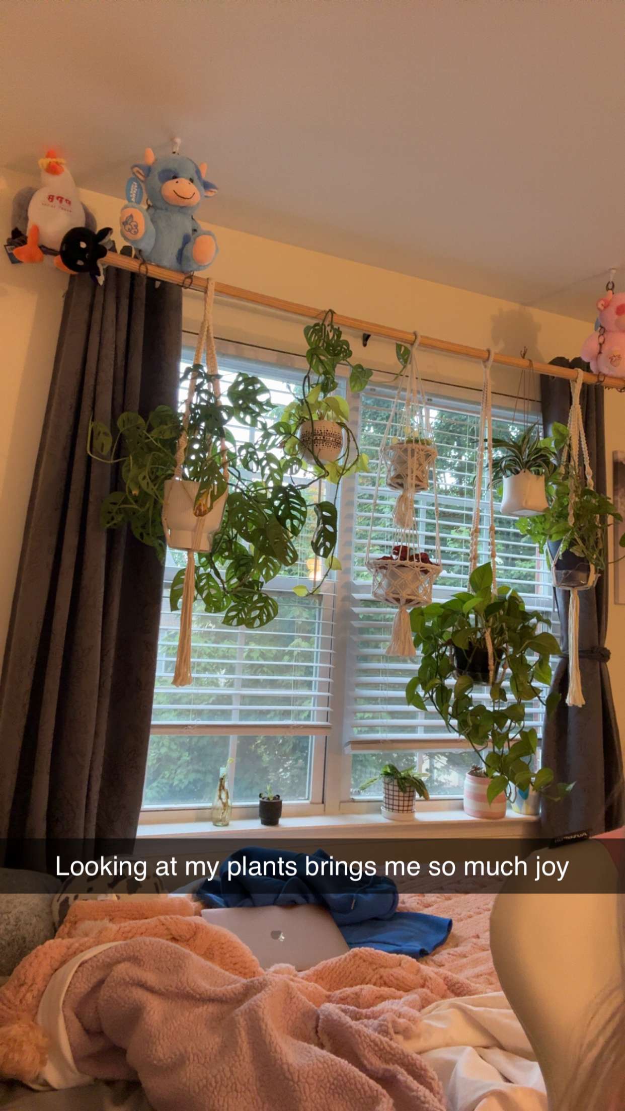 kayleedolisi snapchat image archive image