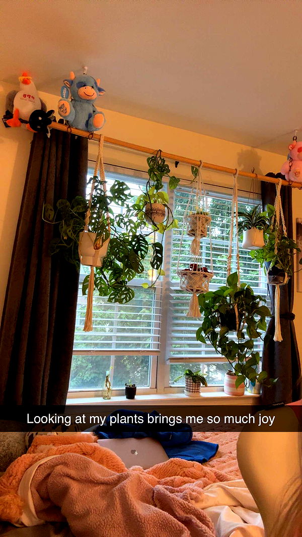 kayleedolisi image ~ Altpins