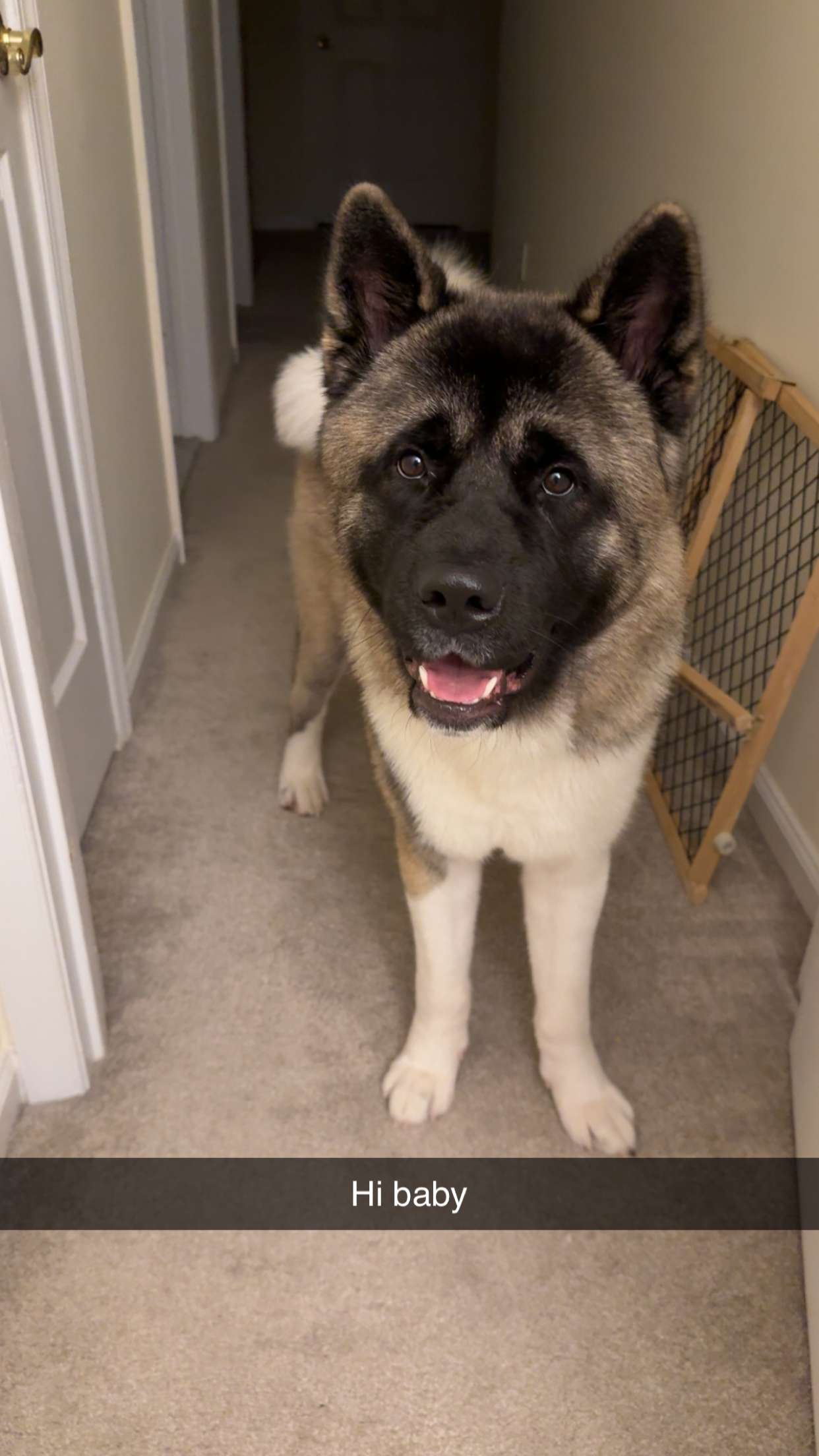 kayleedolisi snapchat image archive image