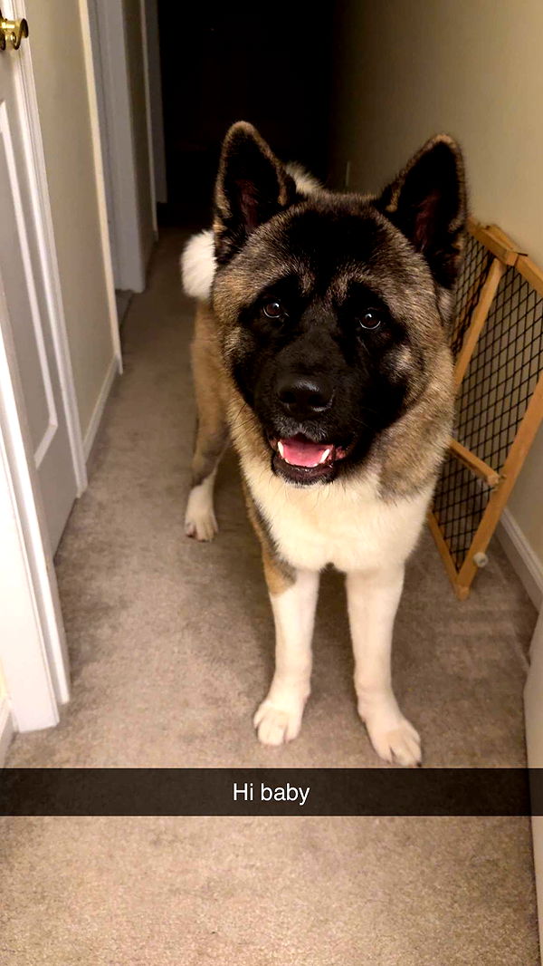 kayleedolisi image ~ Altpins