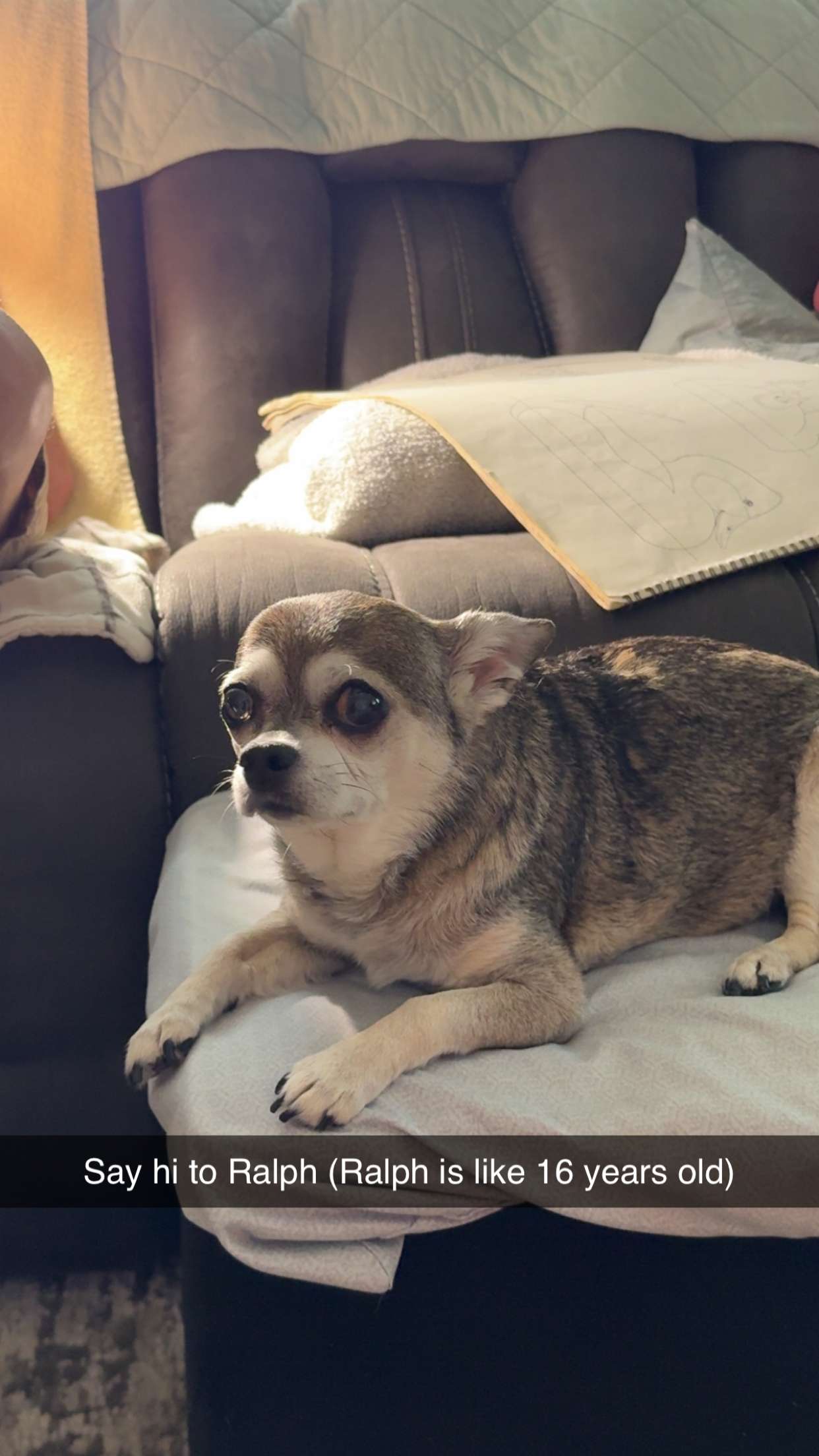 kayleedolisi snapchat image archive image