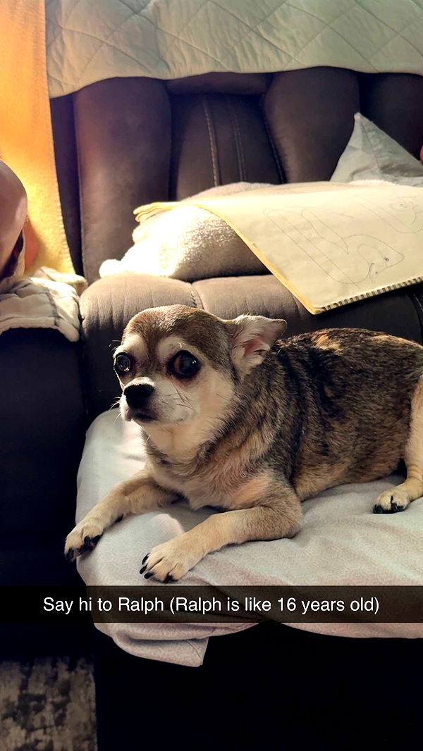 kayleedolisi image ~ Altpins