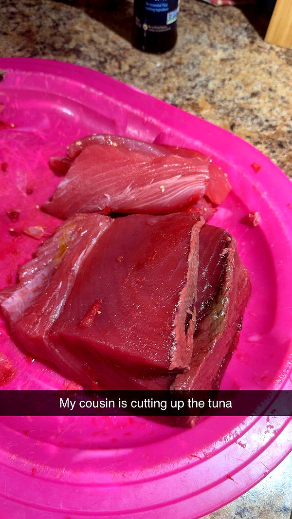 kayleedolisi image ~ Altpins