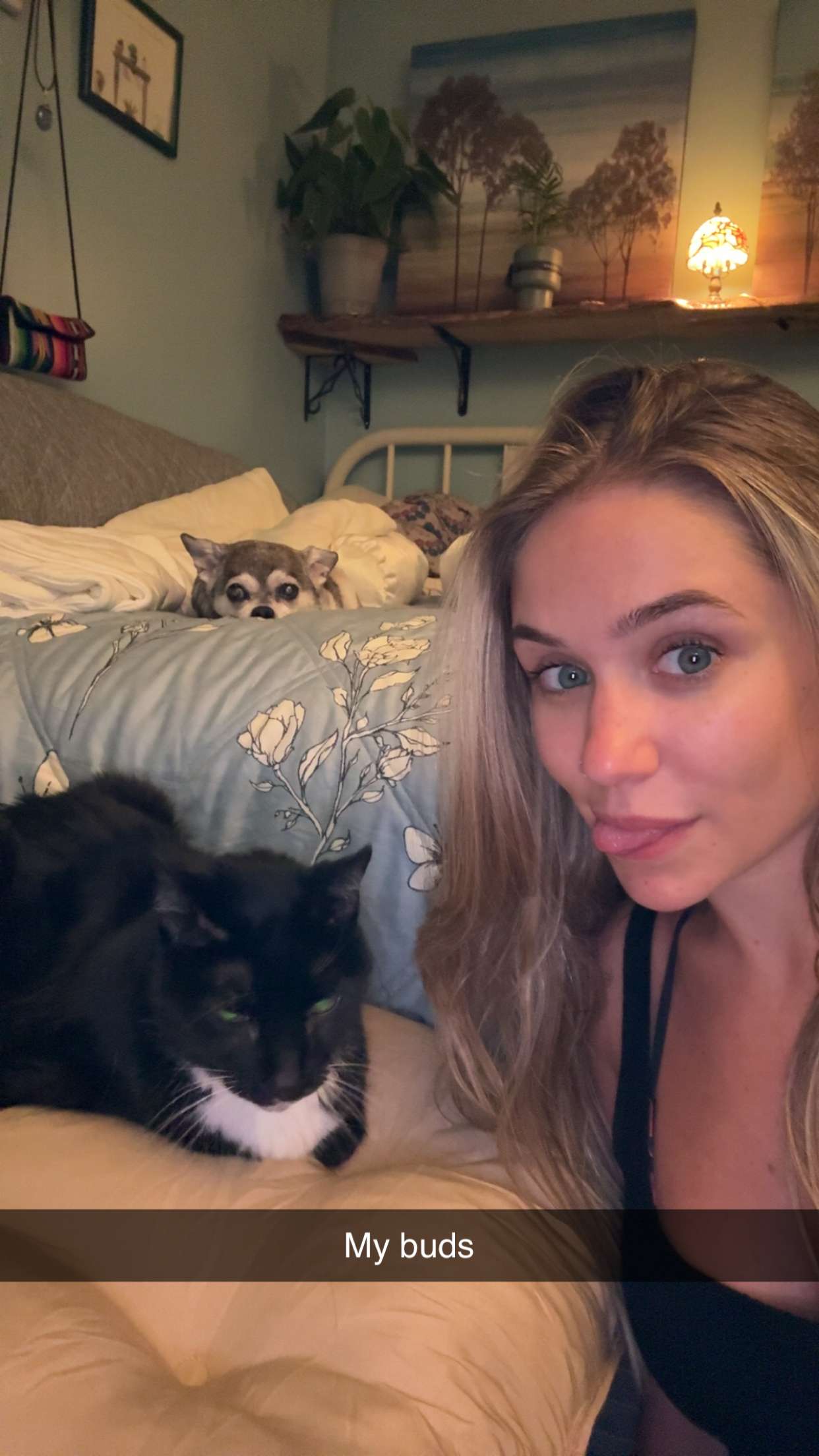 kayleedolisi snapchat image archive image