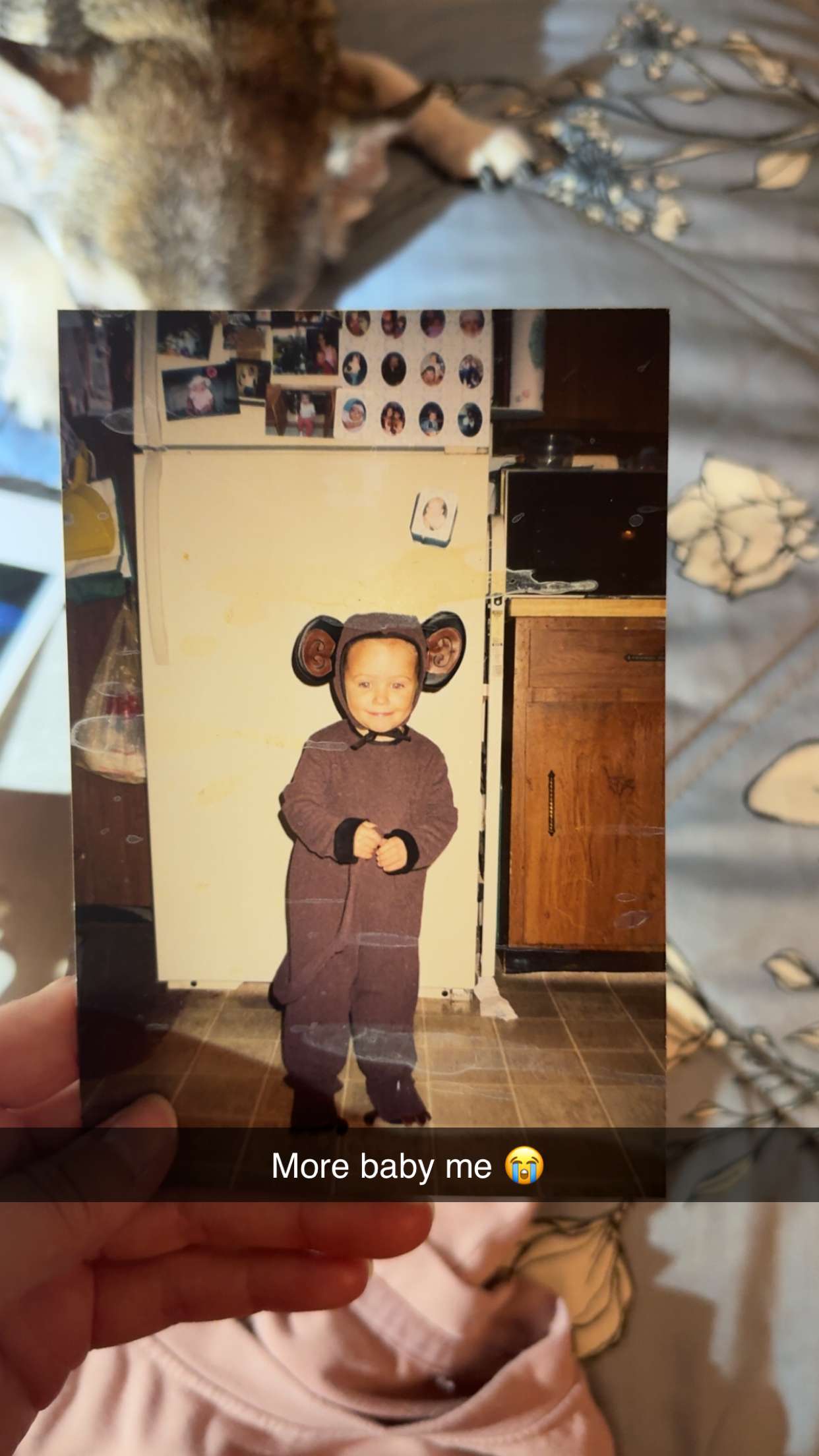 kayleedolisi snapchat image archive image