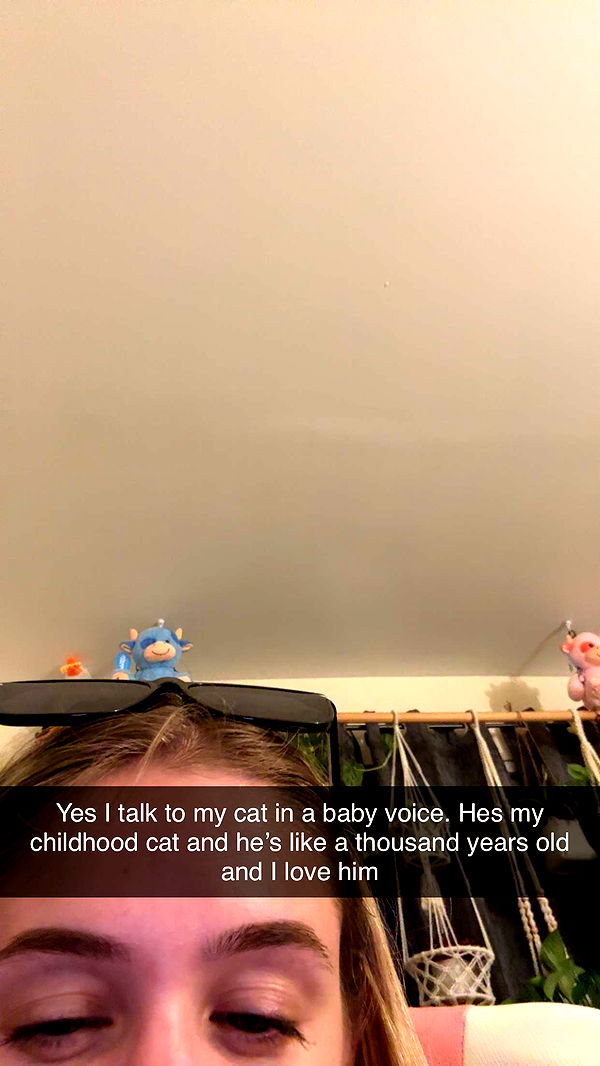 kayleedolisi image ~ Altpins