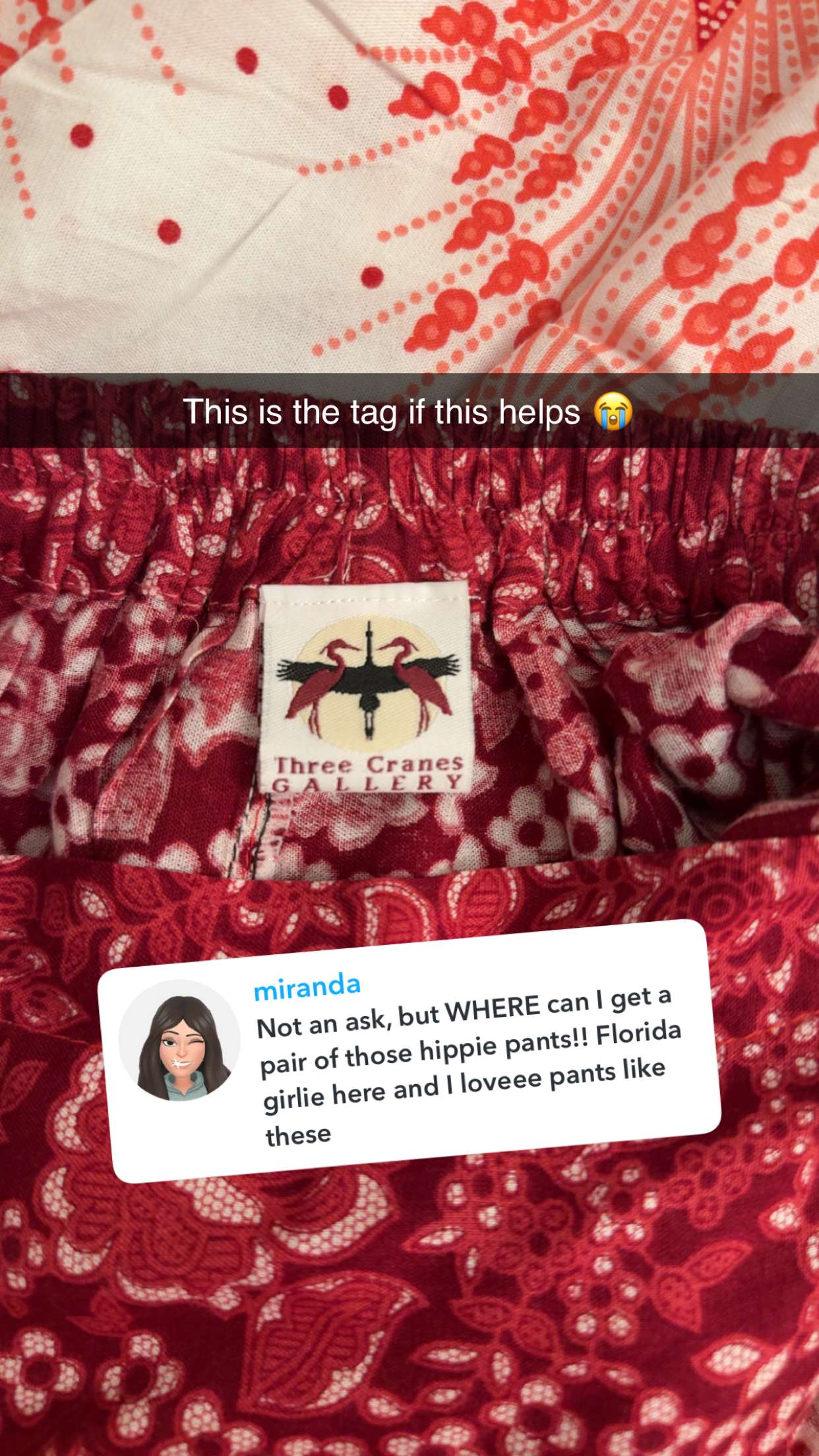 kayleedolisi snapchat image archive image