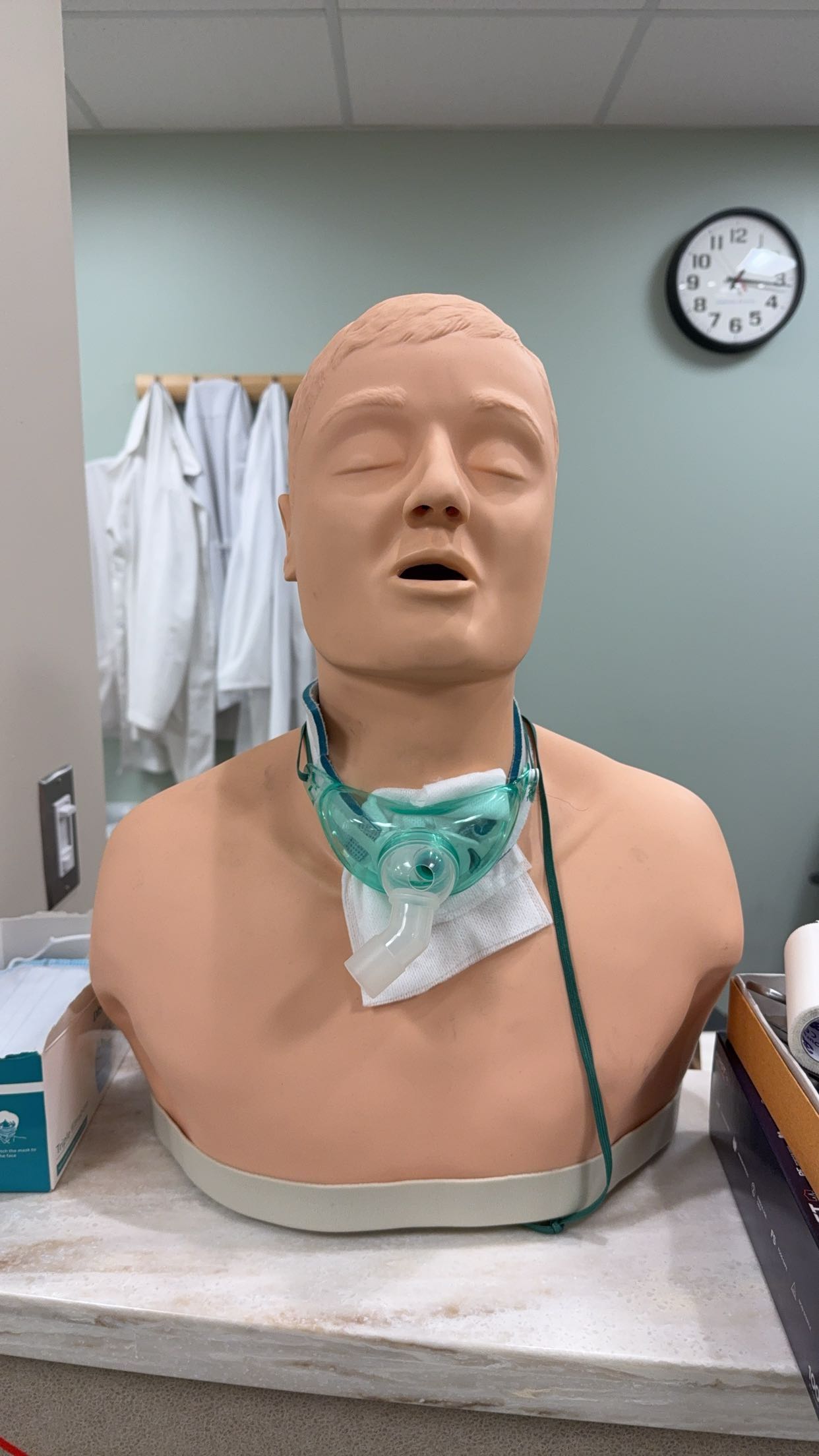 kayleedolisi snapchat image archive image