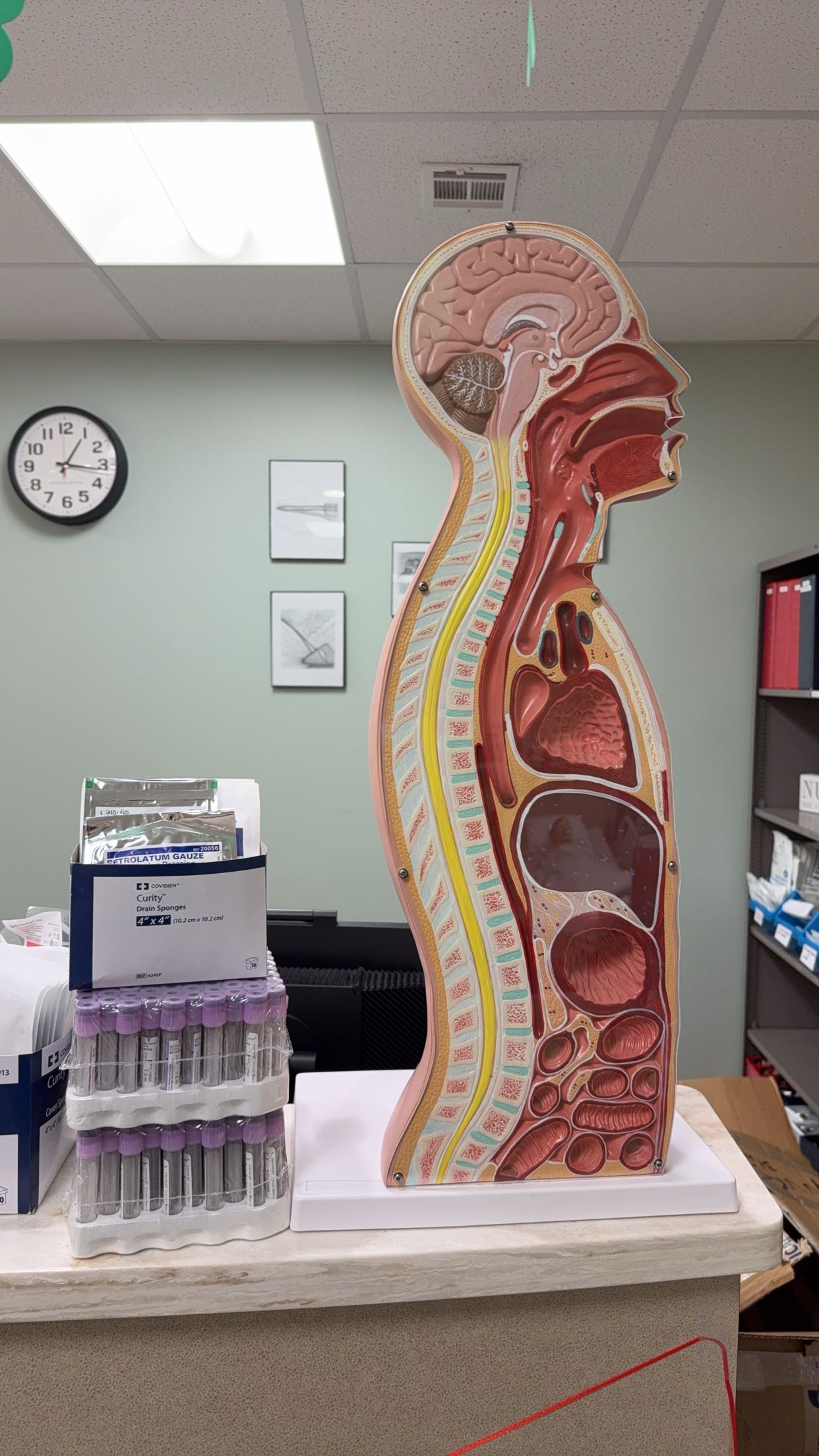 kayleedolisi snapchat image archive image