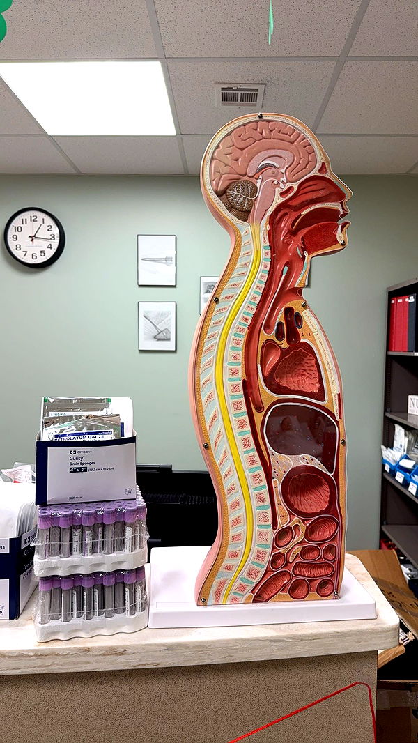 kayleedolisi image ~ Altpins