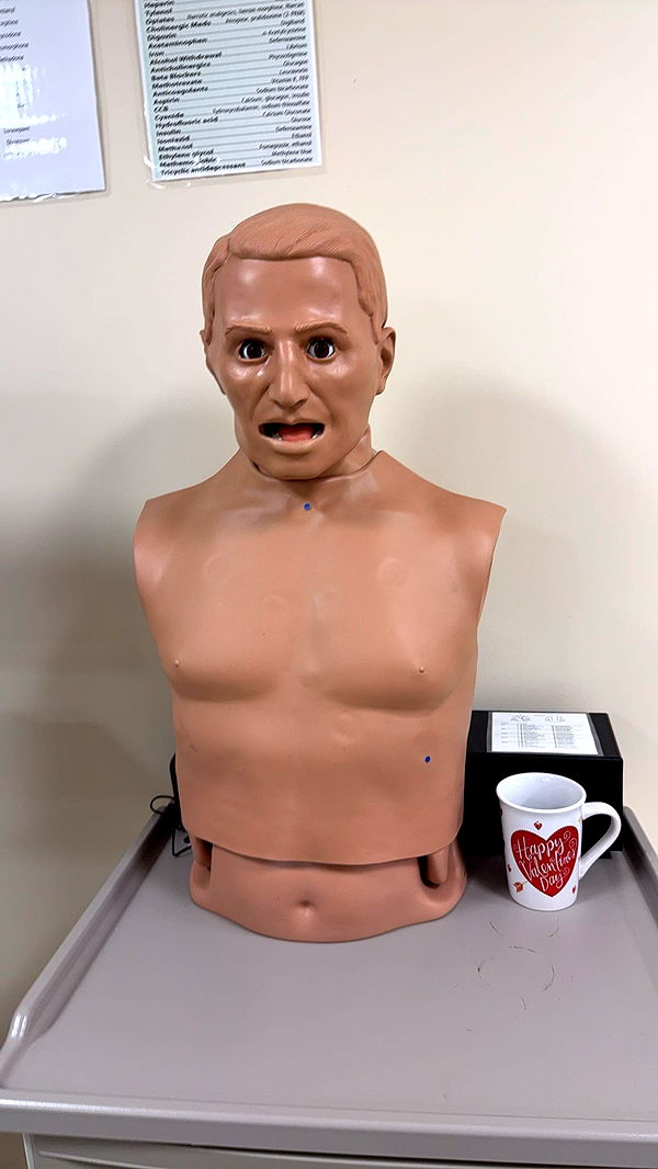 kayleedolisi image ~ Altpins