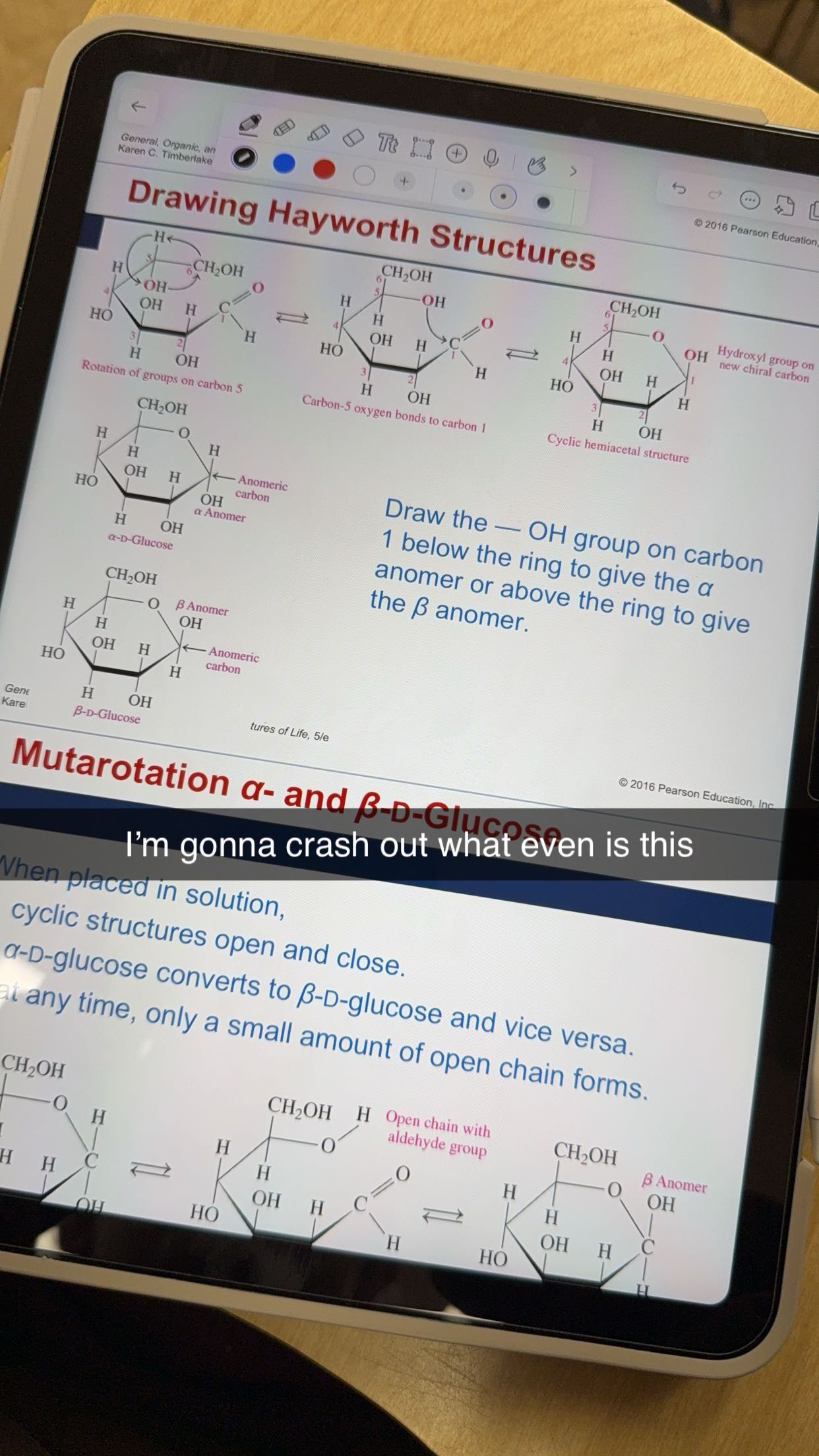 kayleedolisi snapchat image archive image