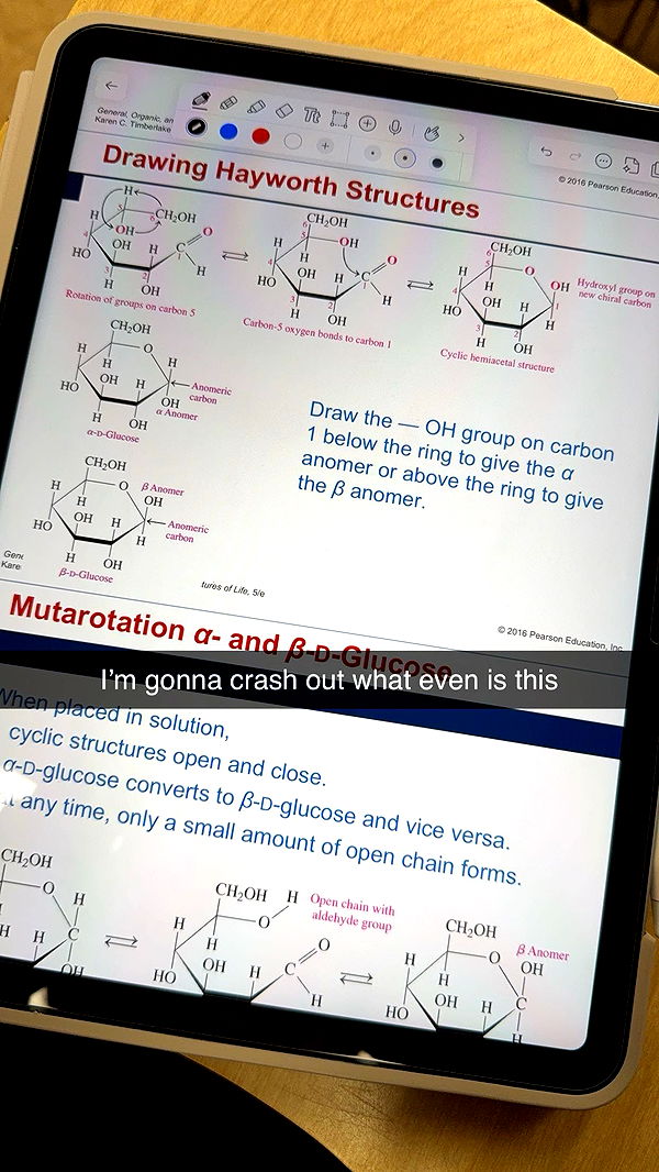 kayleedolisi image ~ Altpins