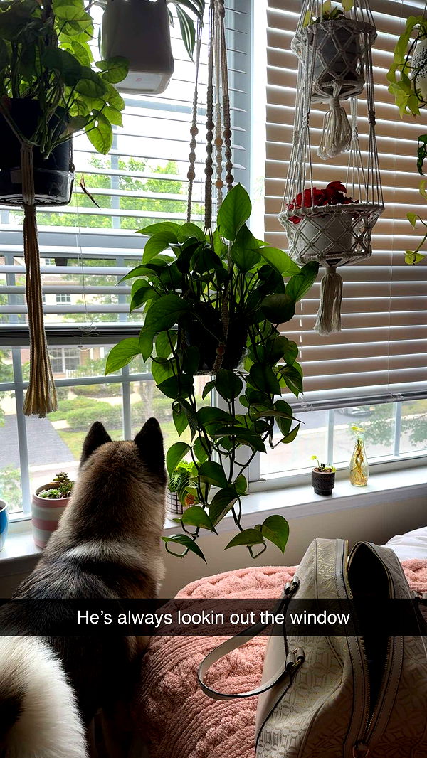 kayleedolisi image ~ Altpins