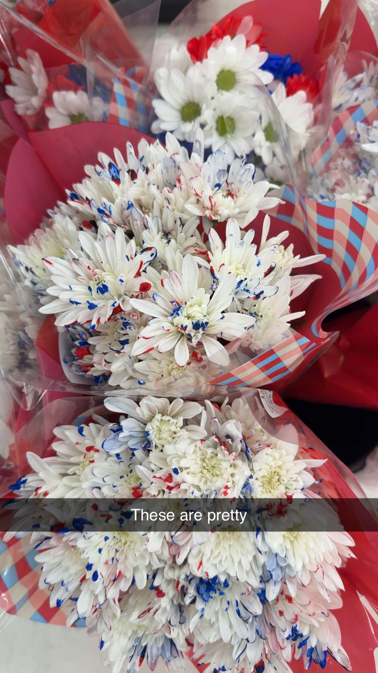 kayleedolisi snapchat image archive image