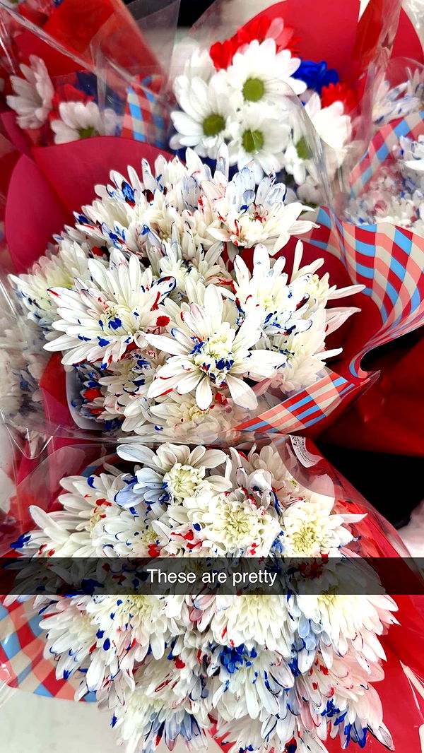 kayleedolisi image ~ Altpins