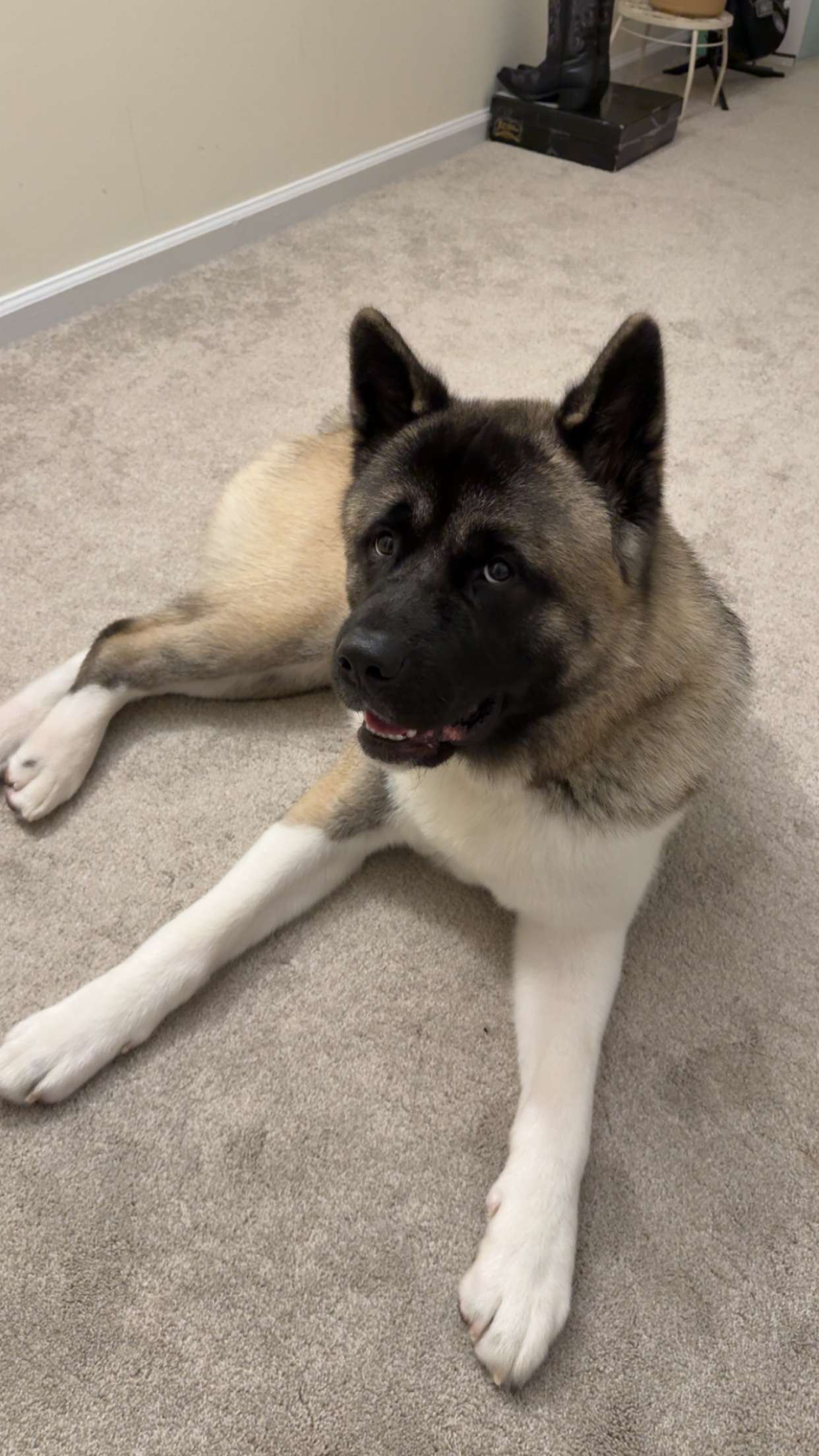 kayleedolisi snapchat image archive image