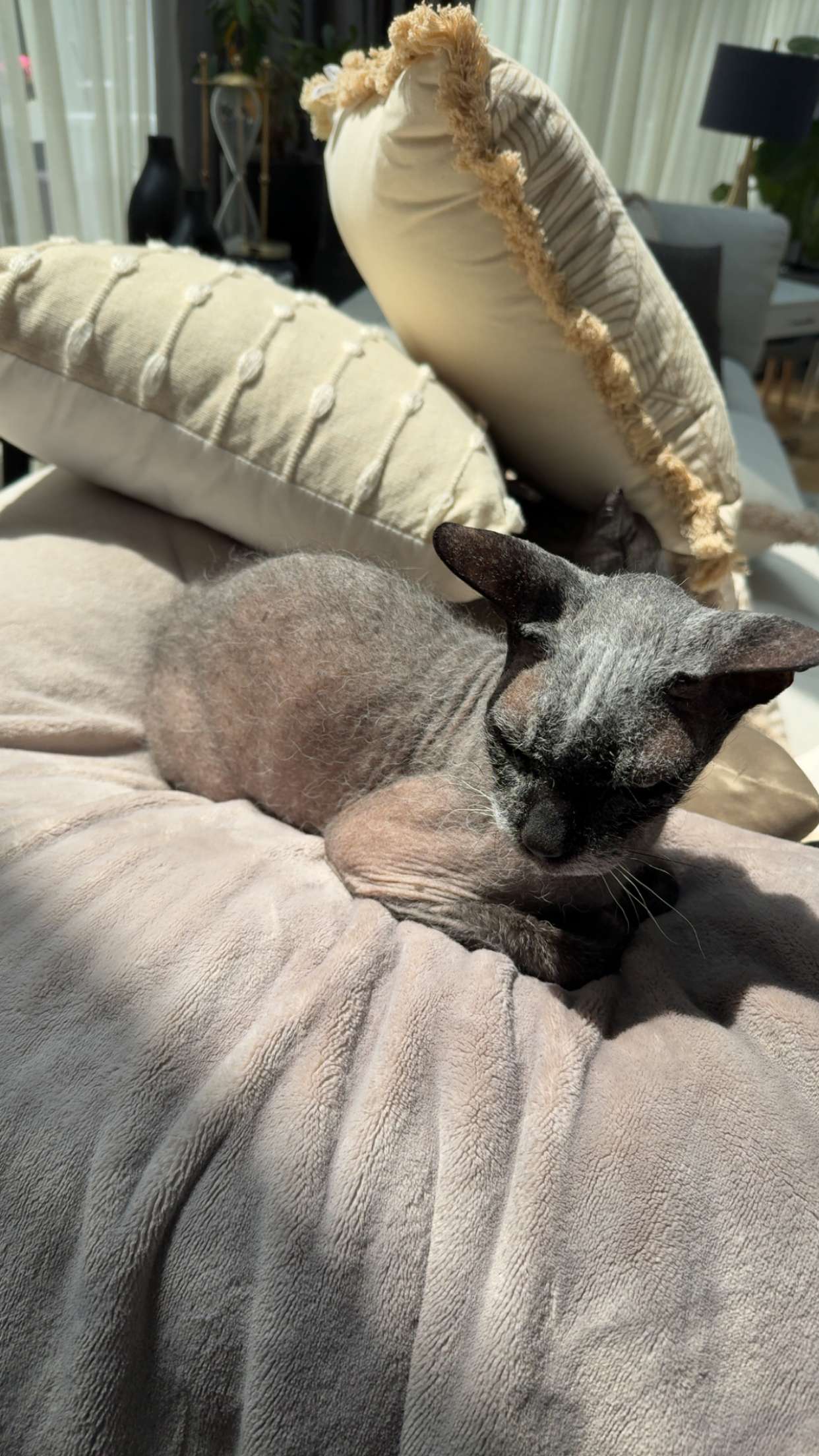 kayleedolisi snapchat image archive image